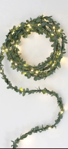 Greenery led lights battery - 60,